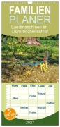 Cover-Bild zum Titel 'Familienplaner 2027 - Landmaschinen im Dornröschenschlaf mit 5 Spalten (Wandkalender, 21 x 45 cm) CALVENDO' von 'Reinhardt Strobel'