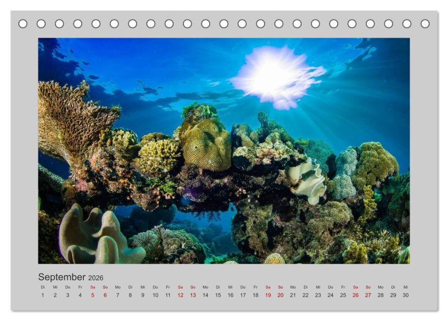 InsideView 14