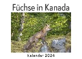 Cover-Bild zum Titel 'Füchse in Kanada (Wandkalender 2024, Kalender DIN A4 quer, Monatskalender im Querformat mit Kalendarium, Das perfekte Geschenk)' von 'Anna Müller'