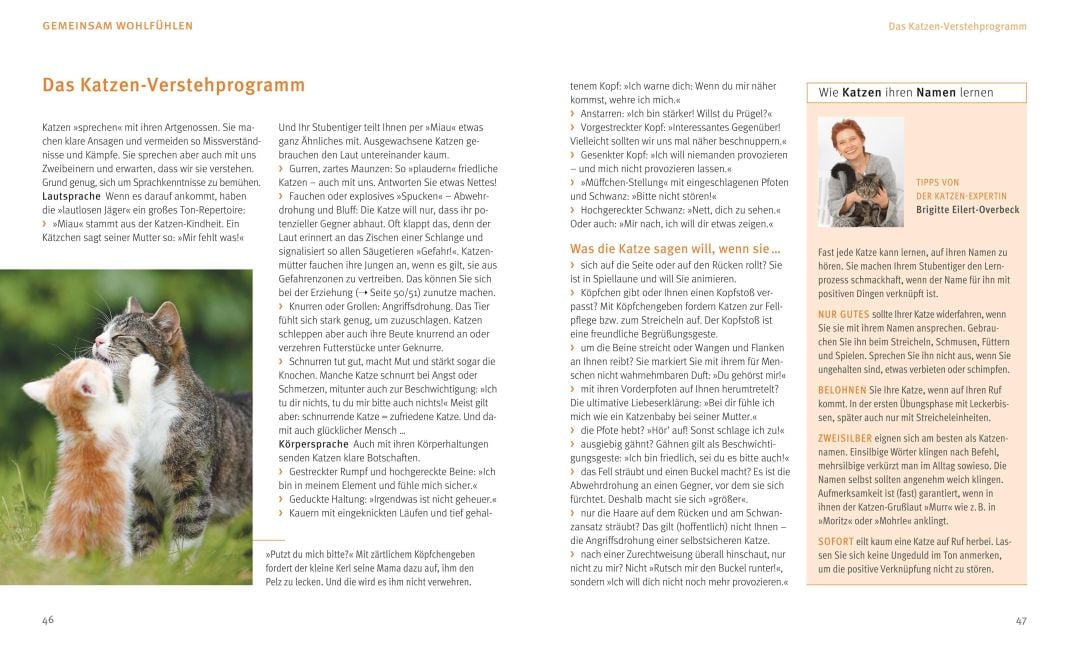 InsideView 5