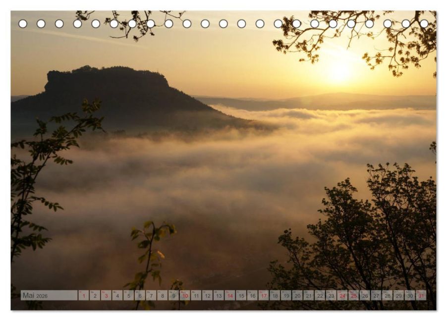 InsideView 10