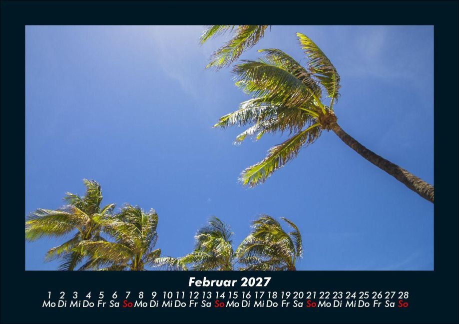 InsideView 6