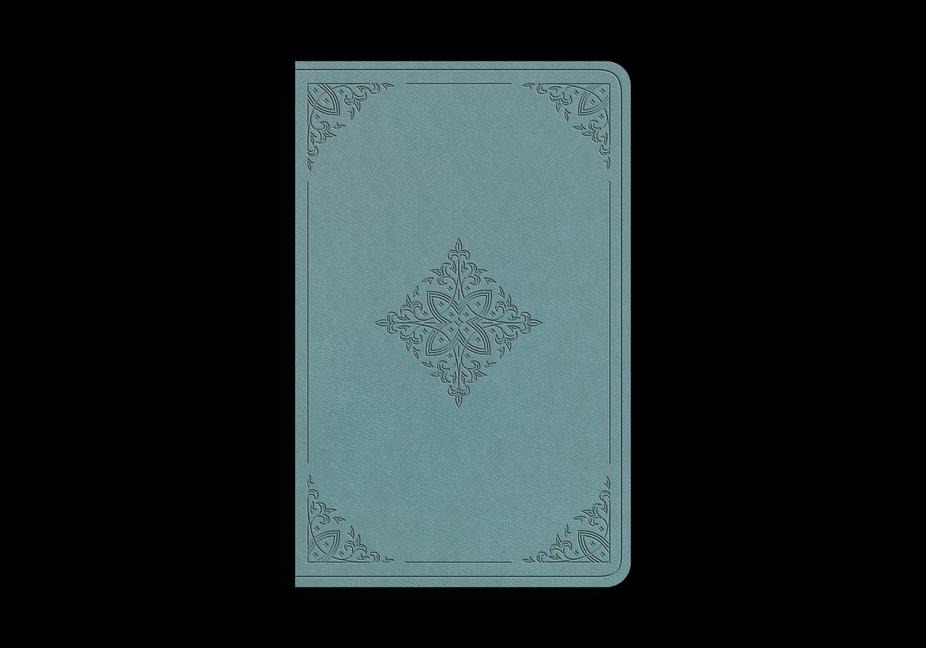 ESV Premium Gift Bible (Trutone, Paris Sky, Fleur-De-Lis Design) - 