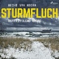 Cover-Bild zum Titel 'Sturmfluch: Ostfriesland-Krimi (Ein Fall für Kommissar Möllenkamp 2)' von 'Heike van Hoorn'