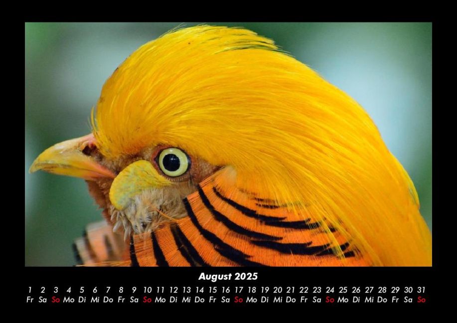 InsideView 12