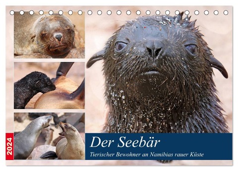 Der Seebär 2024 (Tischkalender 2024 DIN A5 quer), CALVENDO Monatskalender - Wibke Woyke