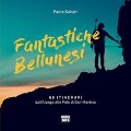 Cover-Bild zum Titel 'Fantastiche bellunesi. 66 itinerari dall'Alpago alle Pale di San Martino' von 'Paolo Salvini'
