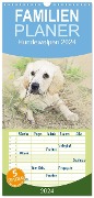 Familienplaner 2024 - Hundewelpen 2024 mit 5 Spalten (Wandkalender, 21 x 45 cm) CALVENDO - Andrea Redecker