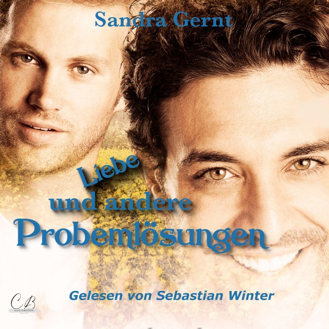Liebe und andere Problemlösungen - Sandra Gernt
