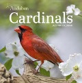 Audubon Cardinals Mini Wall Calendar 2025 - National Audubon Society, Workman Calendars