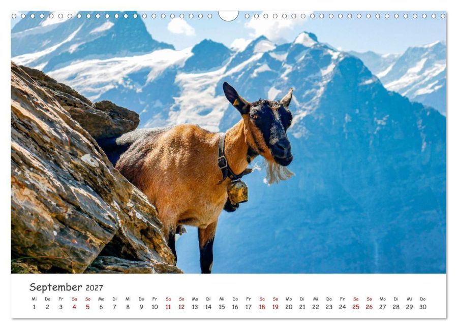 InsideView 14