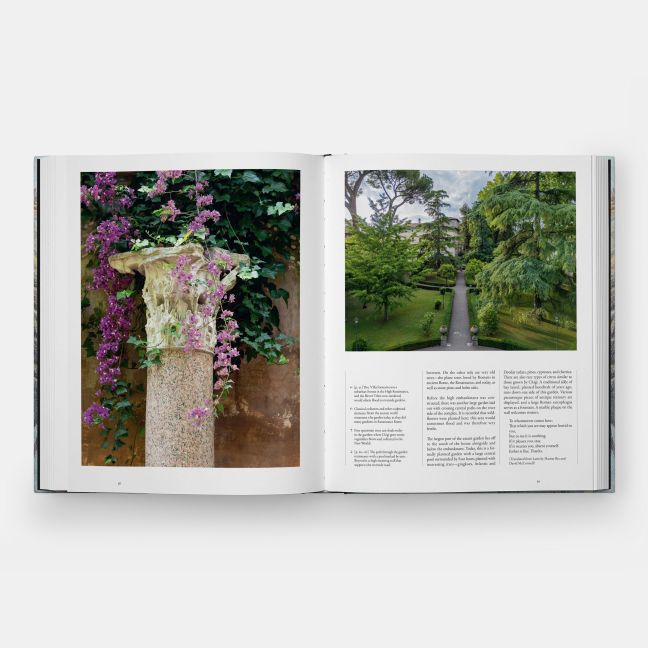 InsideView 5