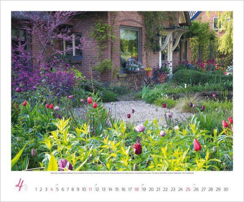 InsideView 4