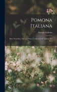 Cover-Bild zum Titel 'Pomona Italiana: Parte Scientifica, Fascicolo Primo, Contenente Il Trattato Del Fico' von 'Giorgio Gallesio'