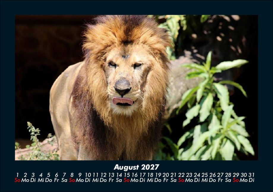 InsideView 12