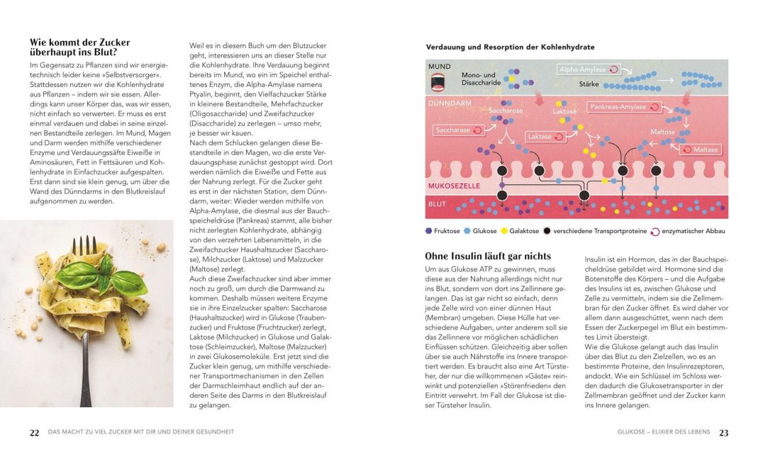 InsideView 2