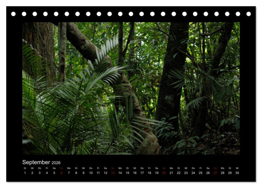 InsideView 14