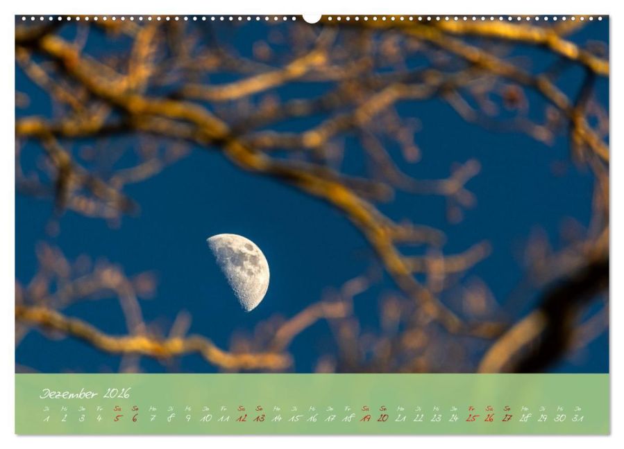 InsideView 4