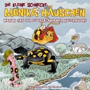 Cover-Bild zum Titel '77: Warum hat der Feuersalamander Kulleraugen?' von 'Die Kleine Schnecke Monika Häuschen'