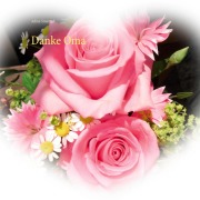 Cover-Bild zum Titel 'Danke Oma' von 'Adina Smaragd'