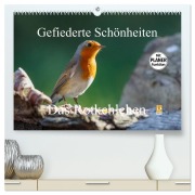 Gefiederte Schönheiten - Das Rotkehlchen / Planer (hochwertiger Premium Wandkalender 2026 DIN A2 quer), Kunstdruck in Hochglanz - Rolf Pötsch