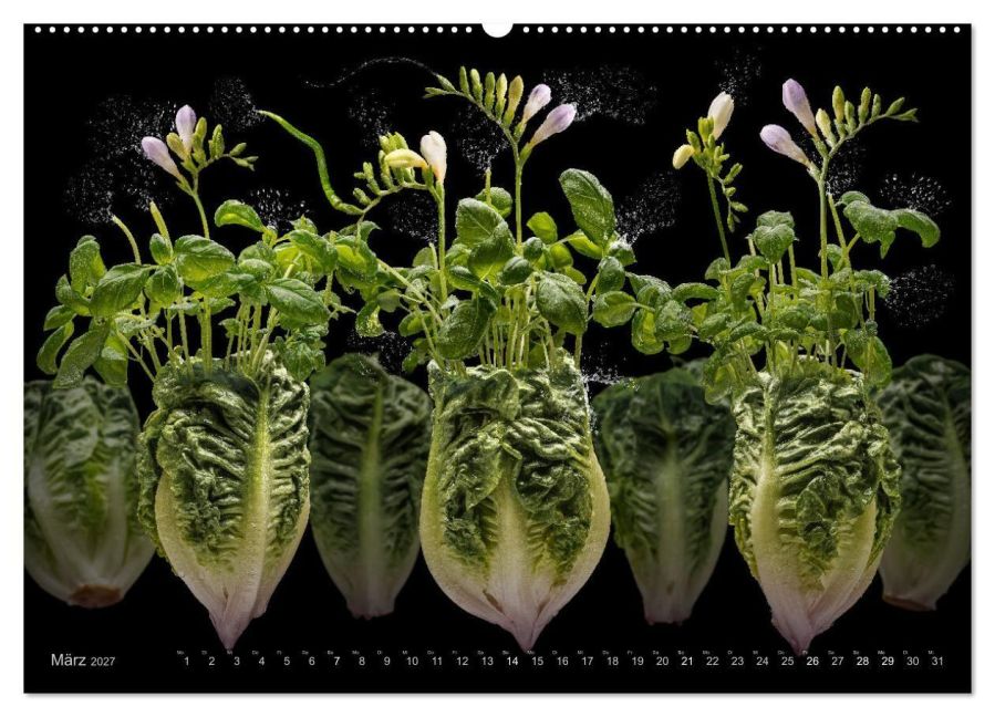 InsideView 8