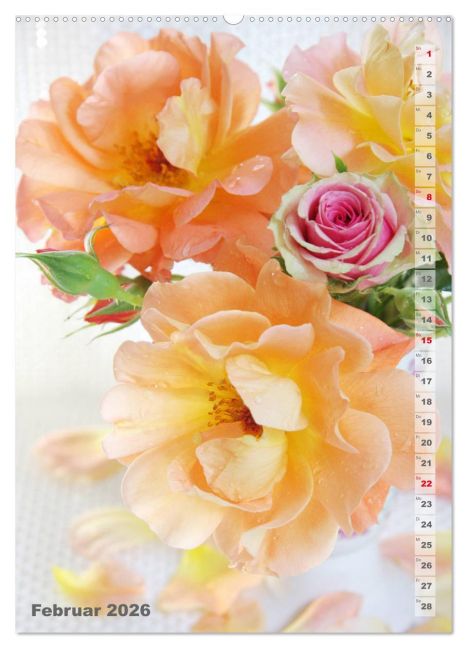 InsideView 6