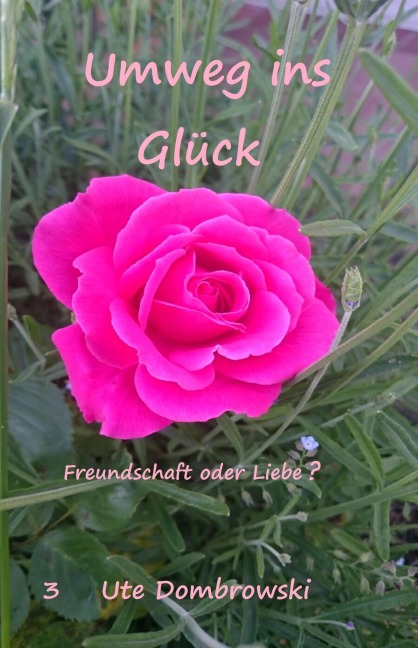Umweg ins Glück - Ute Dombrowski
