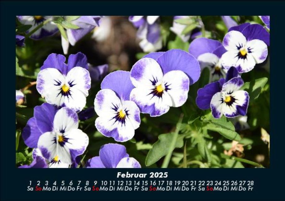 InsideView 6