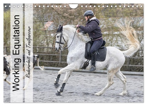 Working Equitation (Wandkalender 2025 DIN A4 quer), CALVENDO Monatskalender - Marion Sixt