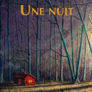 Cover-Bild zum Titel 'Une nuit' von 'Grégoire Solotareff'