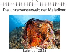 Cover-Bild zum Titel 'Die Unterwasserwelt der Malediven' von 'Alexander Fuchs'