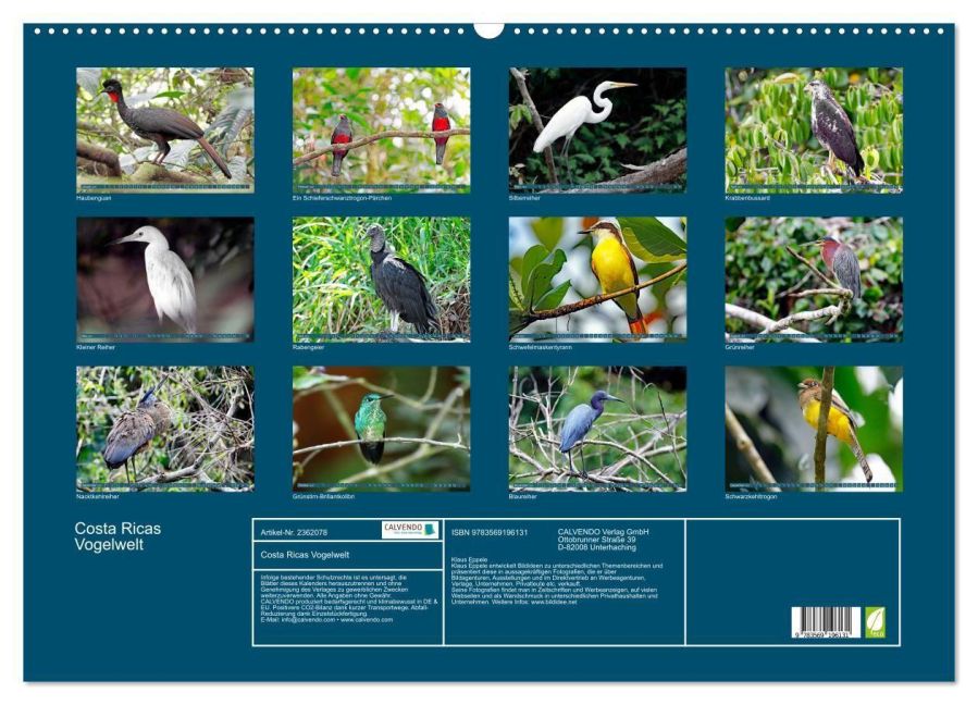 InsideView 5
