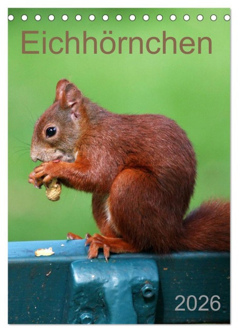 Eichhörnchen (Tischkalender 2026 DIN A5 hoch), CALVENDO Monatskalender - SchnelleWelten SchnelleWelten