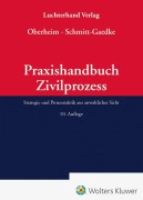 Cover-Bild zum Titel 'Praxishandbuch Zivilprozess' von ''