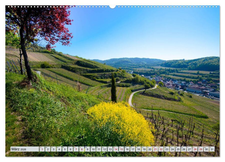 InsideView 8