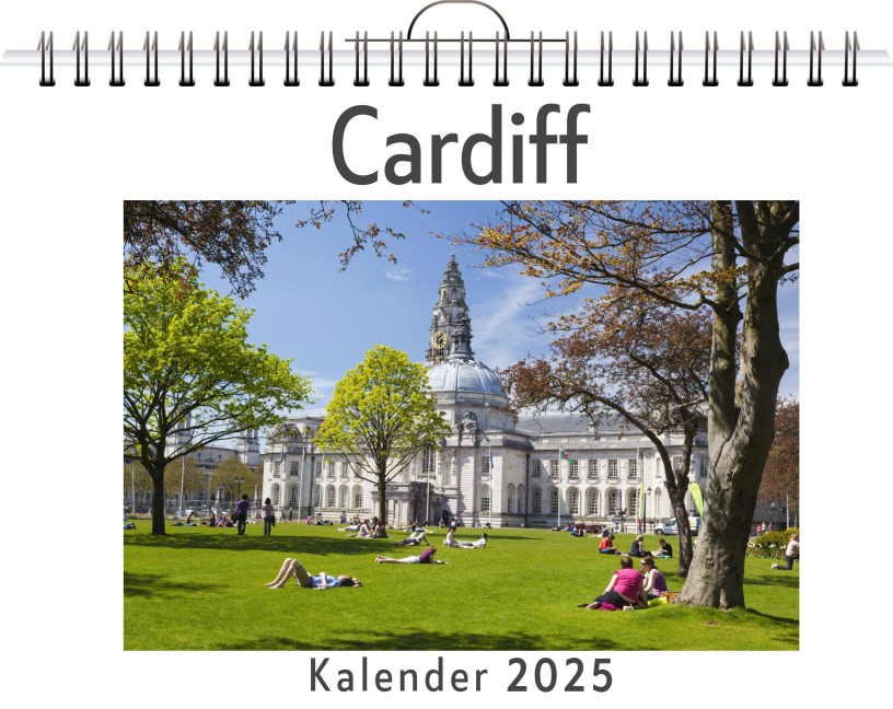 Cardiff - Theo Horn