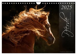Pferde - Anmut und Stärke gepaart mit Magie (Wandkalender 2025 DIN A4 quer), CALVENDO Monatskalender - Sabrina Mischnik