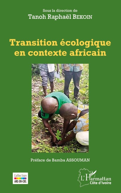 Transition écologique en contexte africain - Tanoh Raphael Bekoin