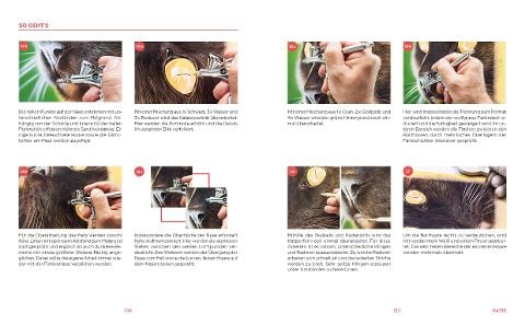 InsideView 17