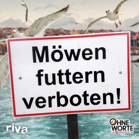 Möwen futtern verboten - 
