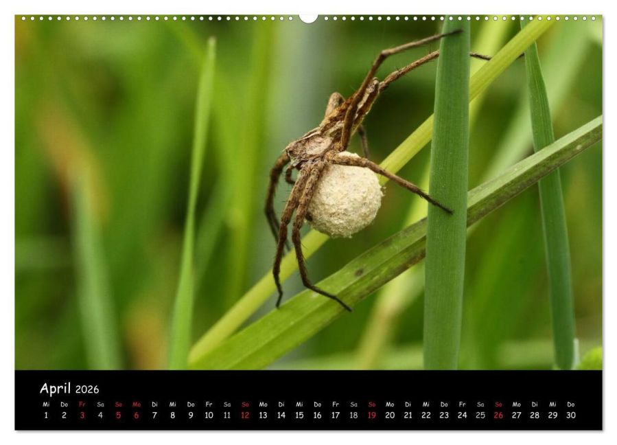 InsideView 8