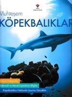 Muhtesem Köpekbaliklari - Bridget Fitzgerald