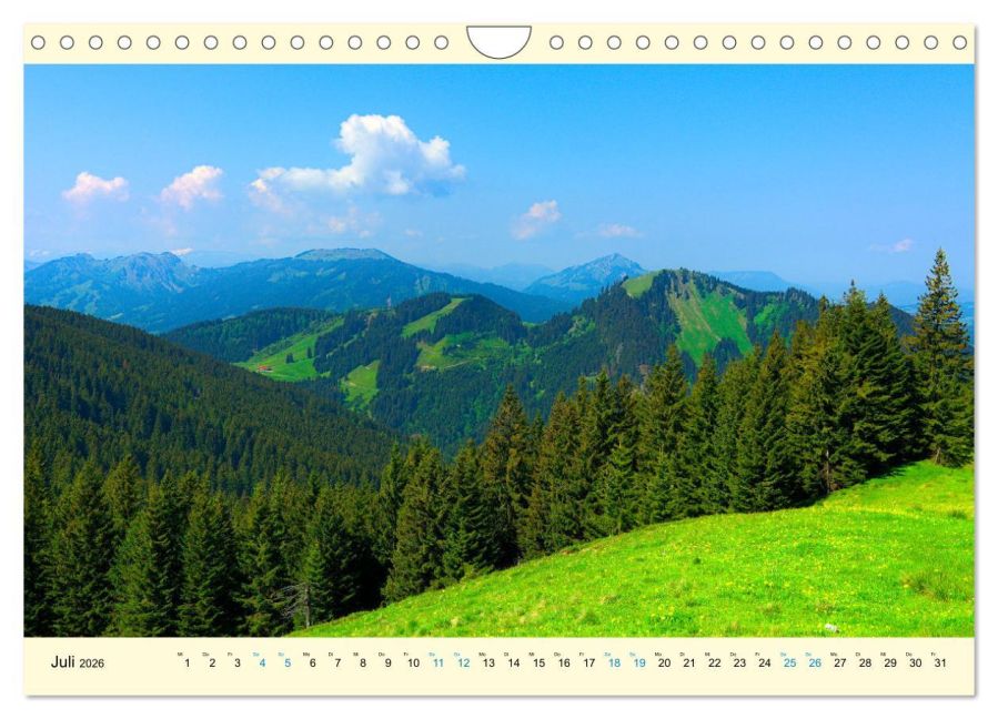 InsideView 12