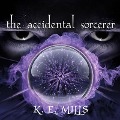 The Accidental Sorcerer - Karen Miller, K. E. Mills
