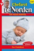 Cover-Bild zum Titel 'Das Findelkind' von 'Helen Perkins'
