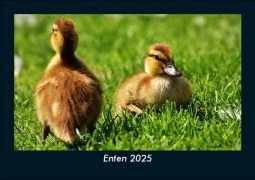 Cover-Bild zum Titel 'Enten 2025 Fotokalender DIN A5' von 'Tobias Becker'