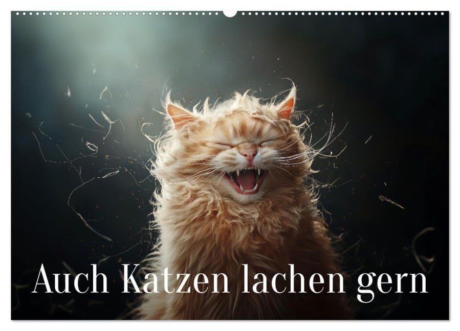 Auch Katzen lachen gern (Wandkalender 2025 DIN A2 quer), CALVENDO Monatskalender - Jürgen Moers