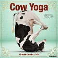 Cow Yoga 2025 12 X 12 Wall Calendar - Willow Creek Press