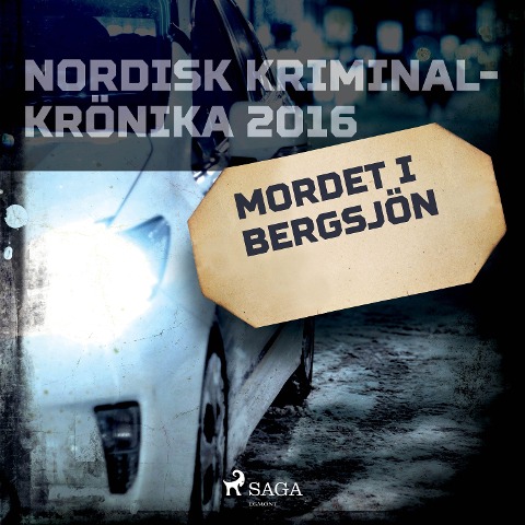 Mordet i Bergsjön - 